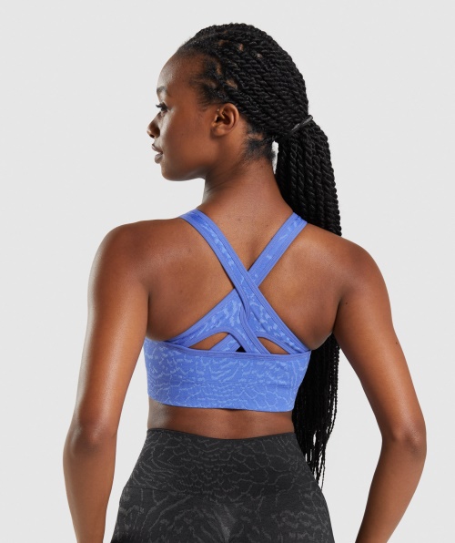 Gymshark Adapt Animal Sutiã Esportivo Sem Costura Híbrida Quadra Azul
