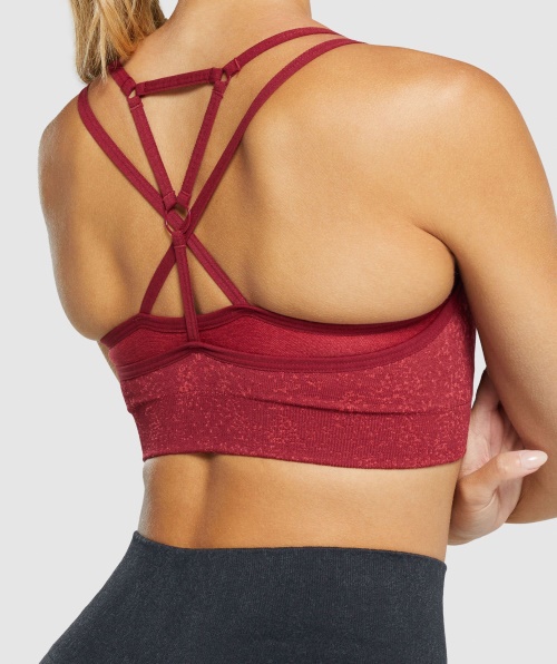 Gymshark Adapt Fleck Sutiã Esportivo Sem Costura Mineral-borgonha