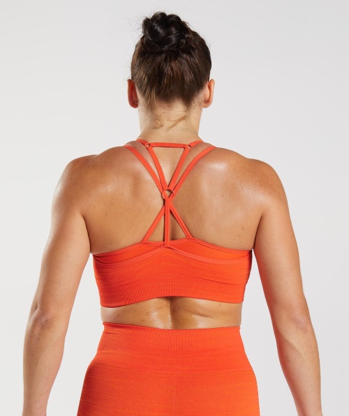 Gymshark Adapt Marl Sutiã Esportivo Sem Costura Vlt-pimenta Laranja Picante