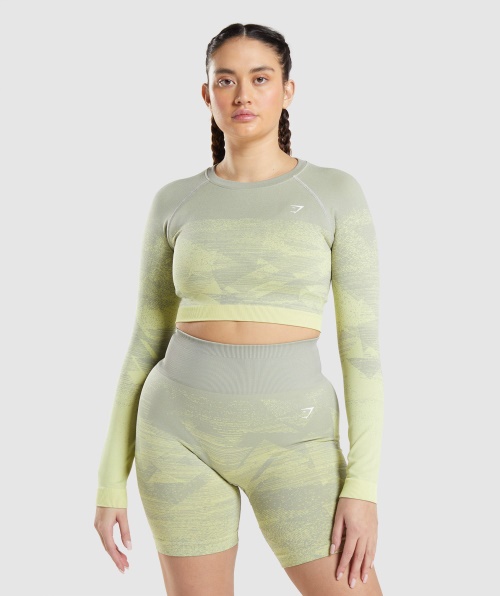 Gymshark Adapt Top Ombre Cropped Triângulo Cinza Taupe