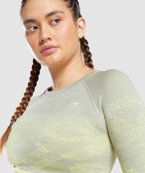 Gymshark Adapt Top Ombre Cropped Triângulo Cinza Taupe
