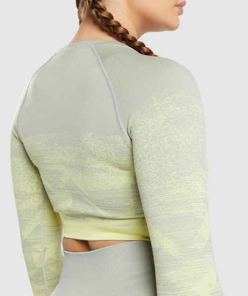 Gymshark Adapt Top Ombre Cropped Triângulo Cinza Taupe