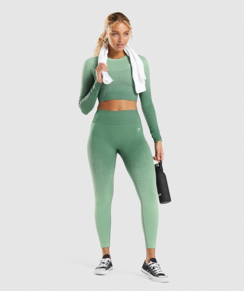 Gymshark Adapte Legging Sem Costura Ombre Verde-claro Verde