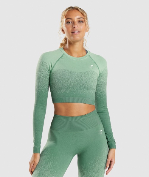 Gymshark Adapt Ombre Top Cropped Manga Longa Sem Costura Verde-claro Verde