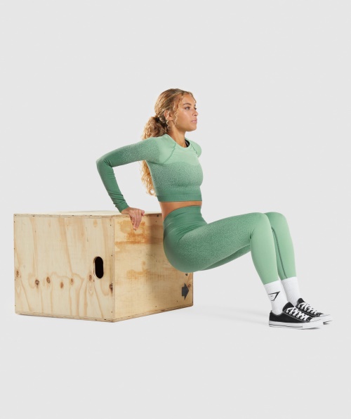 Gymshark Adapt Ombre Top Cropped Manga Longa Sem Costura Verde-claro Verde