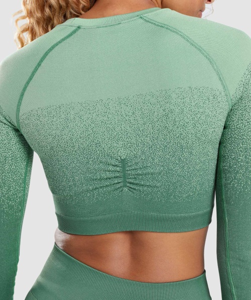 Gymshark Adapt Ombre Top Cropped Manga Longa Sem Costura Verde-claro Verde