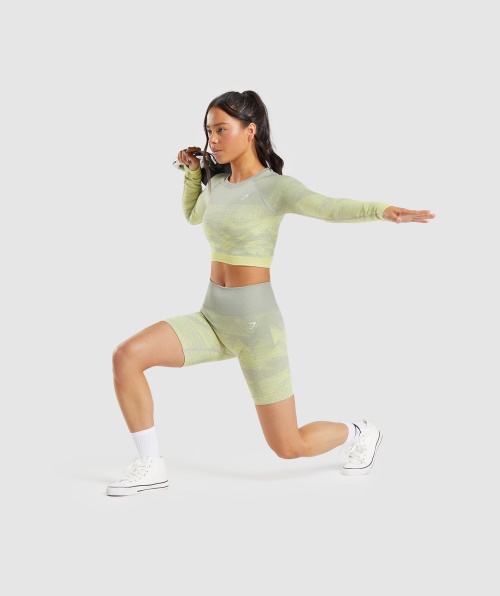 Gymshark Adapt Shorts Ombre Sem Costura Triângulo Cinza Taupe