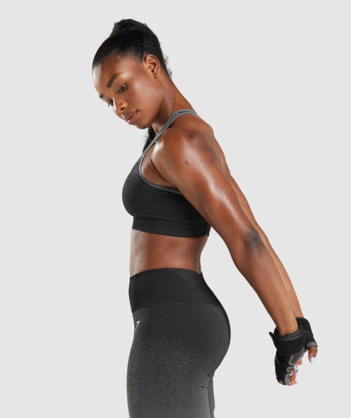 Gymshark Adapt Ombre Sutiã Esportivo Sem Costura Preto-cinza