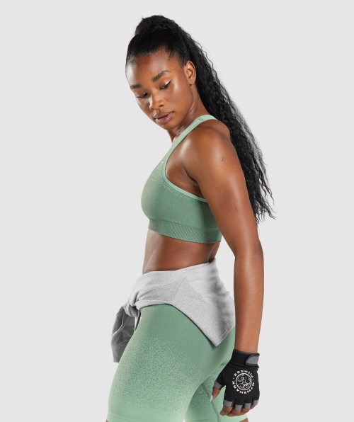 Gymshark Adapt Ombre Sutiã Esportivo Sem Costura Verde-claro Verde