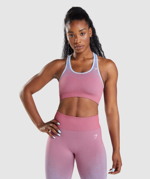 Gymshark Adapt Ombre Sutiã Esportivo Sem Costura Rosa Rosa Azul Claro