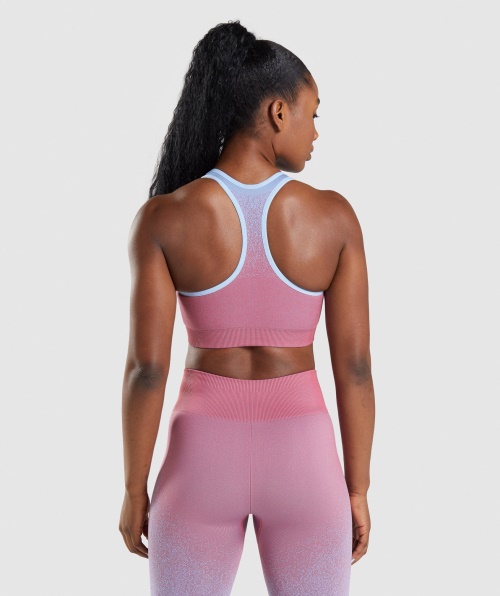 Gymshark Adapt Ombre Sutiã Esportivo Sem Costura Rosa Rosa Azul Claro
