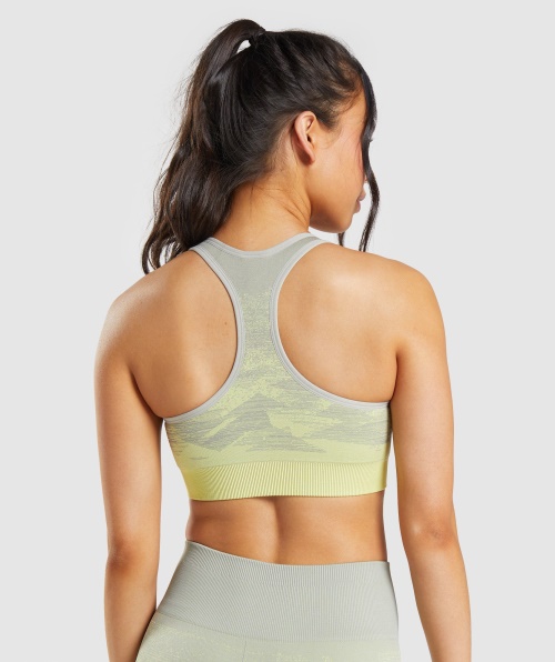 Gymshark Adapt Ombre Sutiã Esportivo Sem Costura Triângulo Cinza Taupe