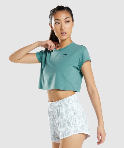 Camiseta Com Estampa Gráfica De Animais Gymshark Teal