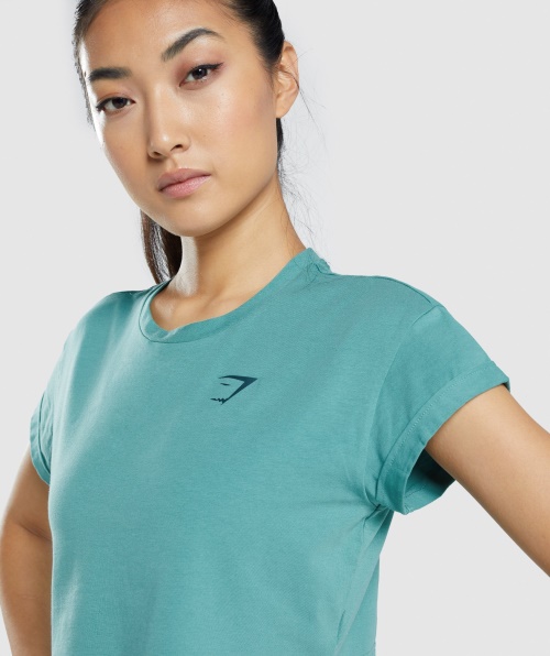 Camiseta Com Estampa Gráfica De Animais Gymshark Teal