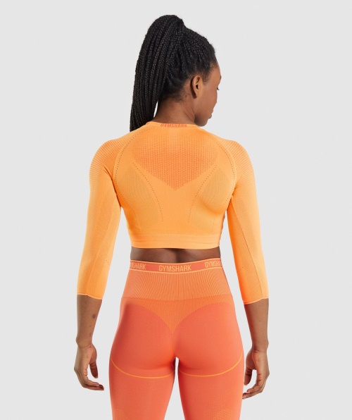Top Cropped Sem Costura Gymshark Apex Damasco Laranja-mamão Laranja