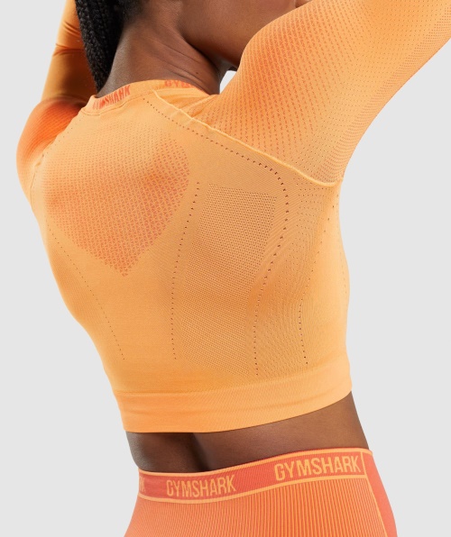 Top Cropped Sem Costura Gymshark Apex Damasco Laranja-mamão Laranja
