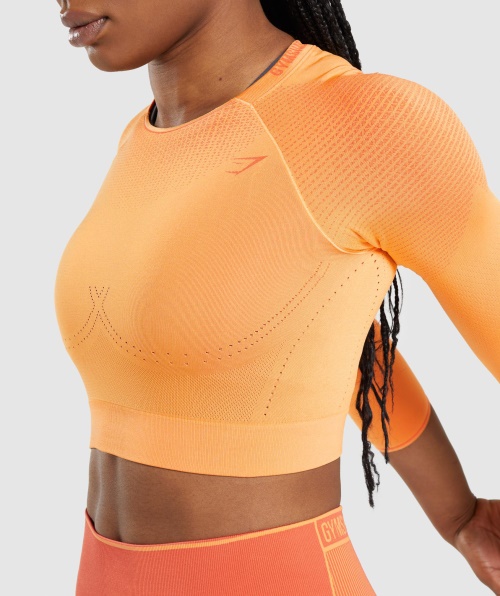 Top Cropped Sem Costura Gymshark Apex Damasco Laranja-mamão Laranja