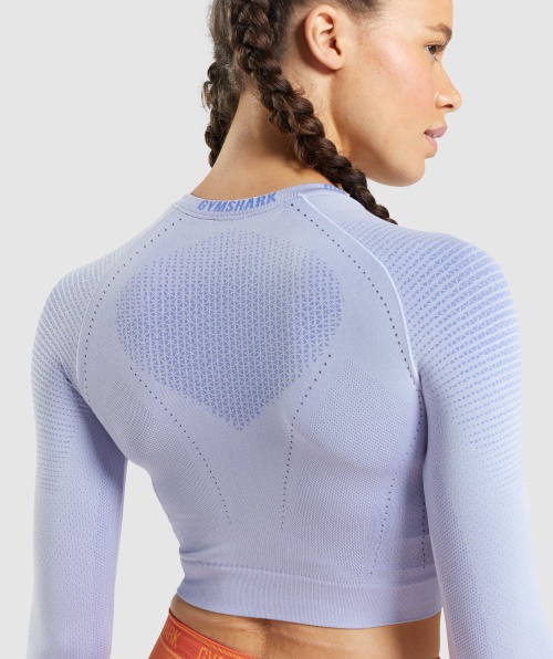 Top Cropped Sem Costura Gymshark Apex Lavanda Azul-quadra Azul