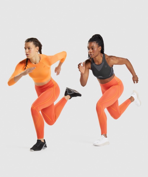 Legging Alta Sem Costura Gymshark Apex Mamão Laranja-damasco Laranja