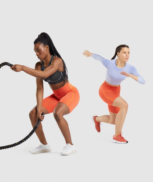 Gymshark Apex Sem Costura De Cintura Alta Mamão Curto Laranja-damasco Laranja