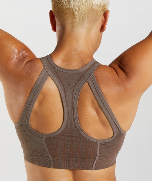 Sutiã Esportivo Sem Costura Gymshark Apex Trufa Marrom-cereja Marrom