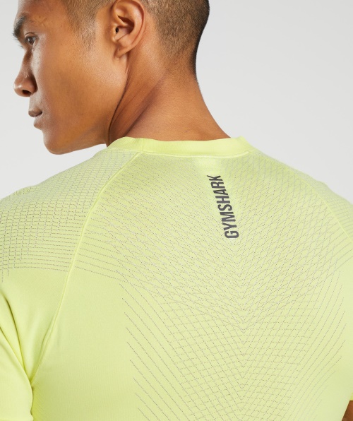 Camiseta Sem Costura Gymshark Apex Vaga-lume Verde-branco