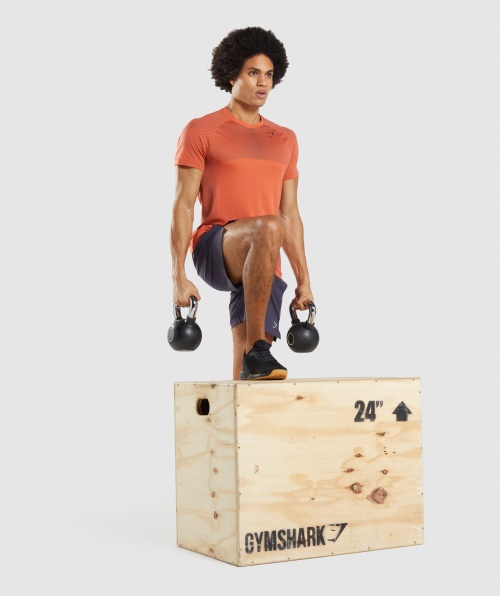 Camiseta Sem Costura Gymshark Apex Mamão Laranja-ônix Cinza