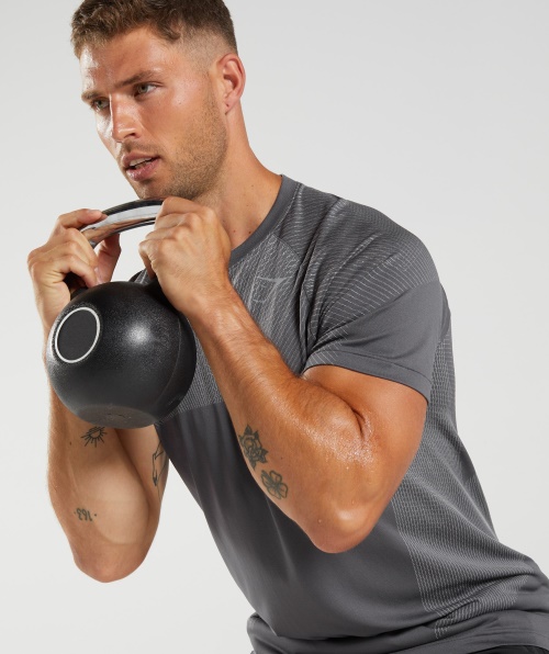 Gymshark Apex Camiseta Sem Costura Silhueta Cinza Esfumaçado Cinza