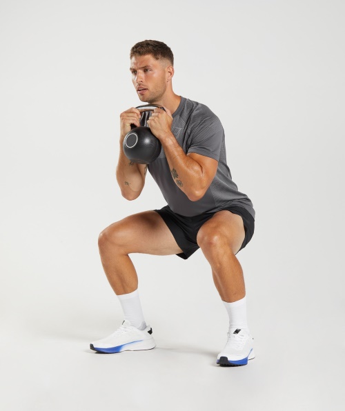 Gymshark Apex Camiseta Sem Costura Silhueta Cinza Esfumaçado Cinza