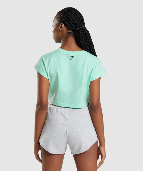 Top Cropped Turbo Azul Gymshark Apollo