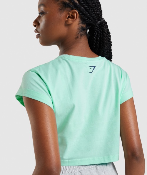 Top Cropped Turbo Azul Gymshark Apollo