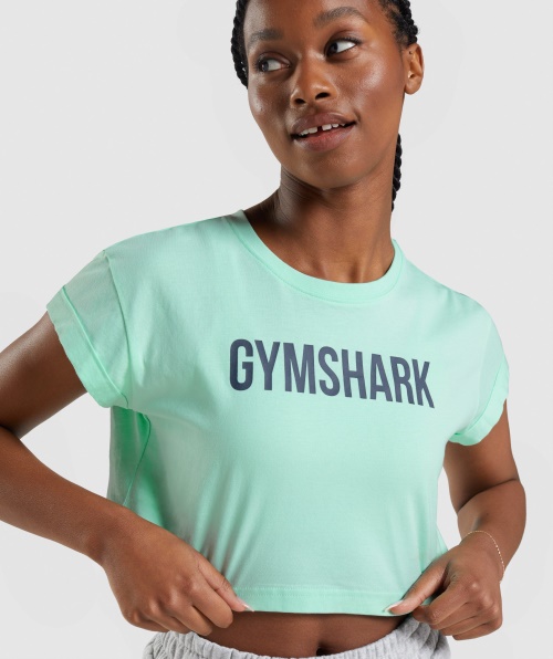 Top Cropped Turbo Azul Gymshark Apollo