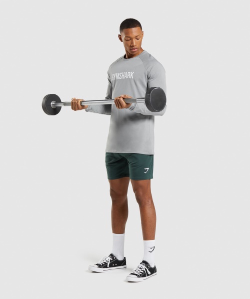 Camiseta Gymshark Apollo Manga Longa Cinza Esfumado