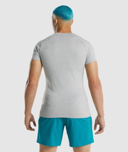 Camiseta Apolo Gymshark Cinza Claro Marl