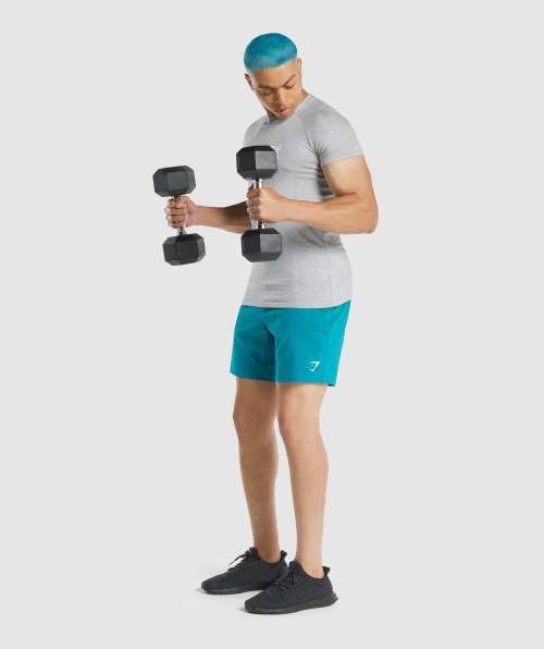 Camiseta Apolo Gymshark Cinza Claro Marl