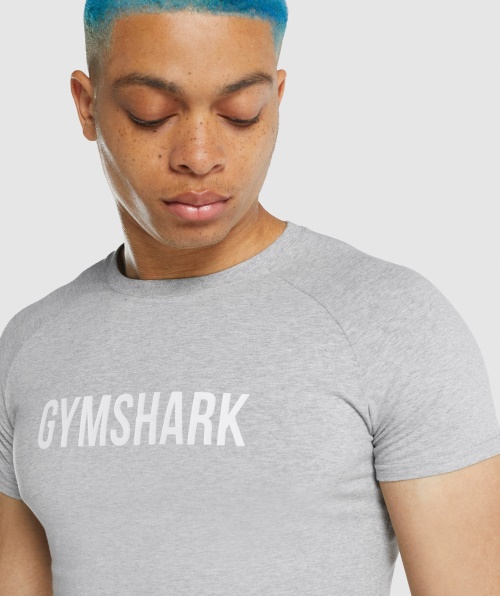 Camiseta Apolo Gymshark Cinza Claro Marl