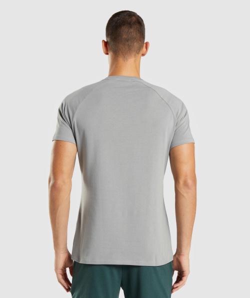 Camiseta Gymshark Apollo Masculina Cinza Esfumado