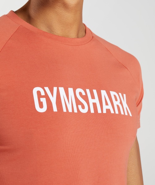Camiseta Gymshark Apollo Masculina Tempestade Vermelha