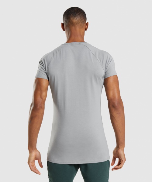 Camiseta Gymshark Apollo Cinza Esfumado