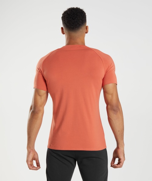 Camiseta Gymshark Apolo Vermelho Tempestade