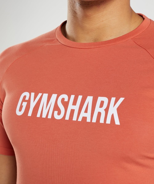 Camiseta Gymshark Apolo Vermelho Tempestade