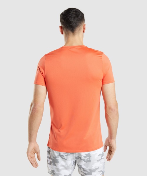 Camiseta Com Gráfico De Chegada Do Gymshark Mamão Laranja