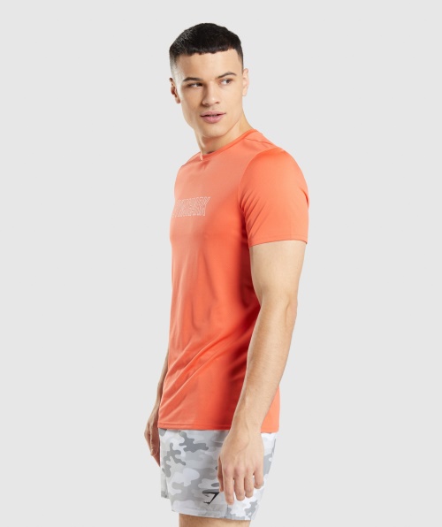 Camiseta Com Gráfico De Chegada Do Gymshark Mamão Laranja