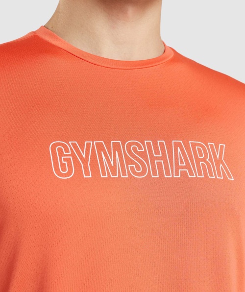 Camiseta Com Gráfico De Chegada Do Gymshark Mamão Laranja
