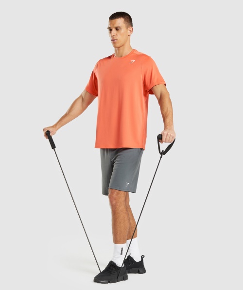 Camiseta Gymshark Chegada Regular Fit Mamão Laranja