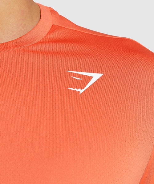 Camiseta Gymshark Chegada Regular Fit Mamão Laranja
