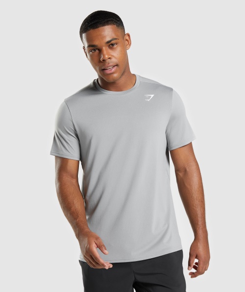 Camiseta Gymshark Chegada Regular Fit Cinza Esfumado