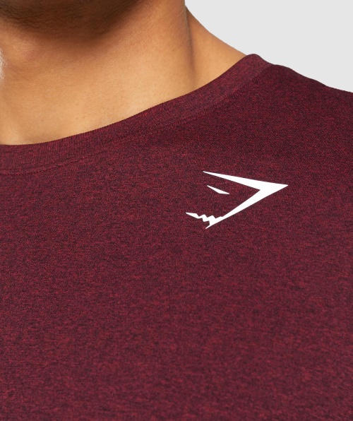Camiseta De Manga Longa Sem Costura De Chegada Do Gymshark Bordô Marl Vermelho