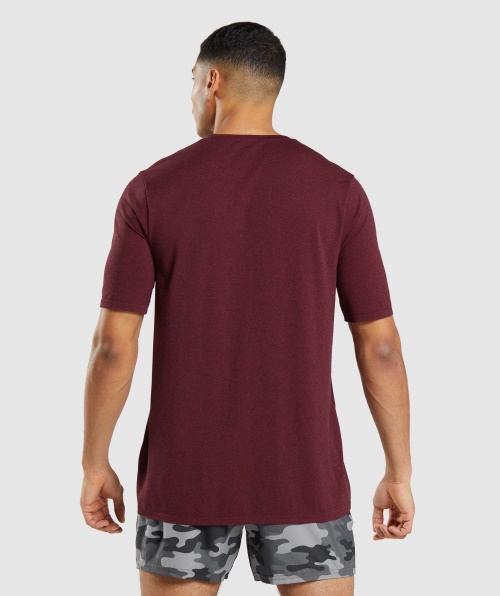 Camiseta De Manga Curta Sem Costura De Chegada Do Gymshark Bordô Marl Vermelho