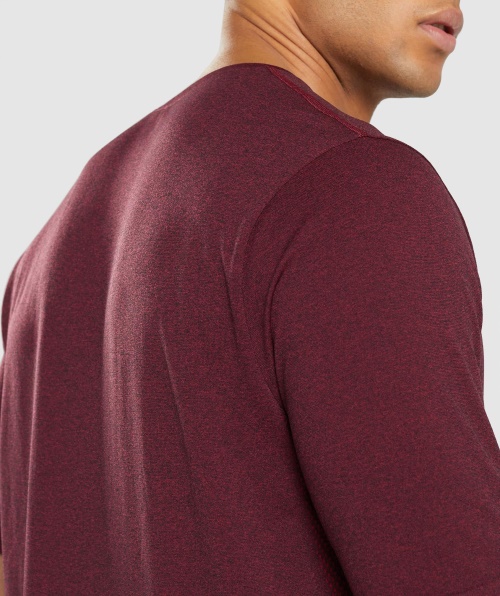 Camiseta De Manga Curta Sem Costura De Chegada Do Gymshark Bordô Marl Vermelho